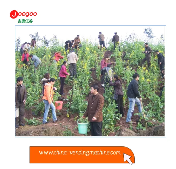 Експортний відділ компанії Jeogoo організував волонтерську акцію для Фестивал...